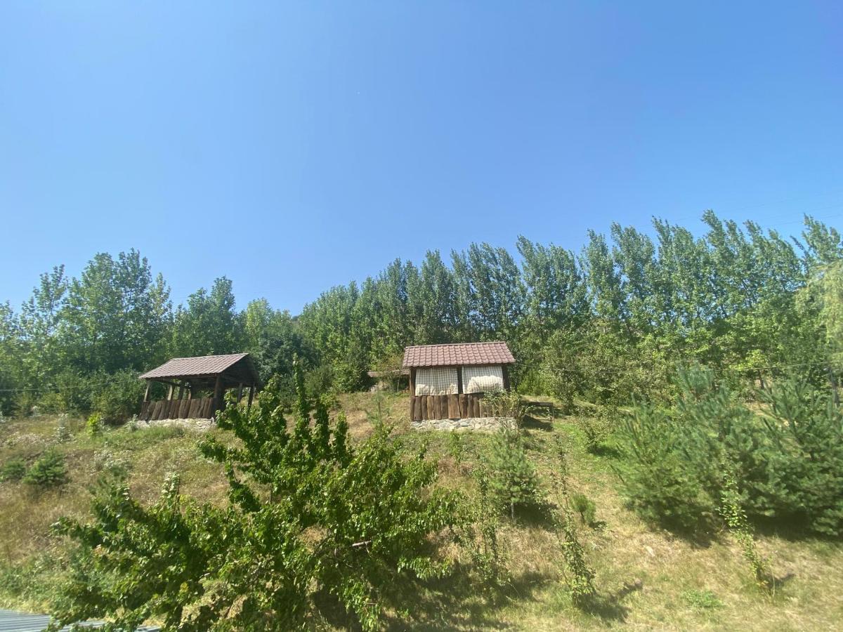 Hotel Nirvana Дилиян Екстериор снимка