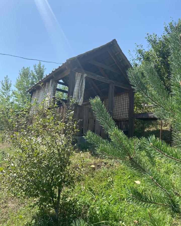 Hotel Nirvana Дилиян Екстериор снимка