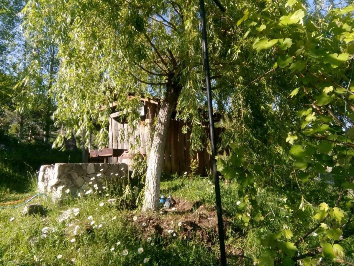 Hotel Nirvana Дилиян Екстериор снимка