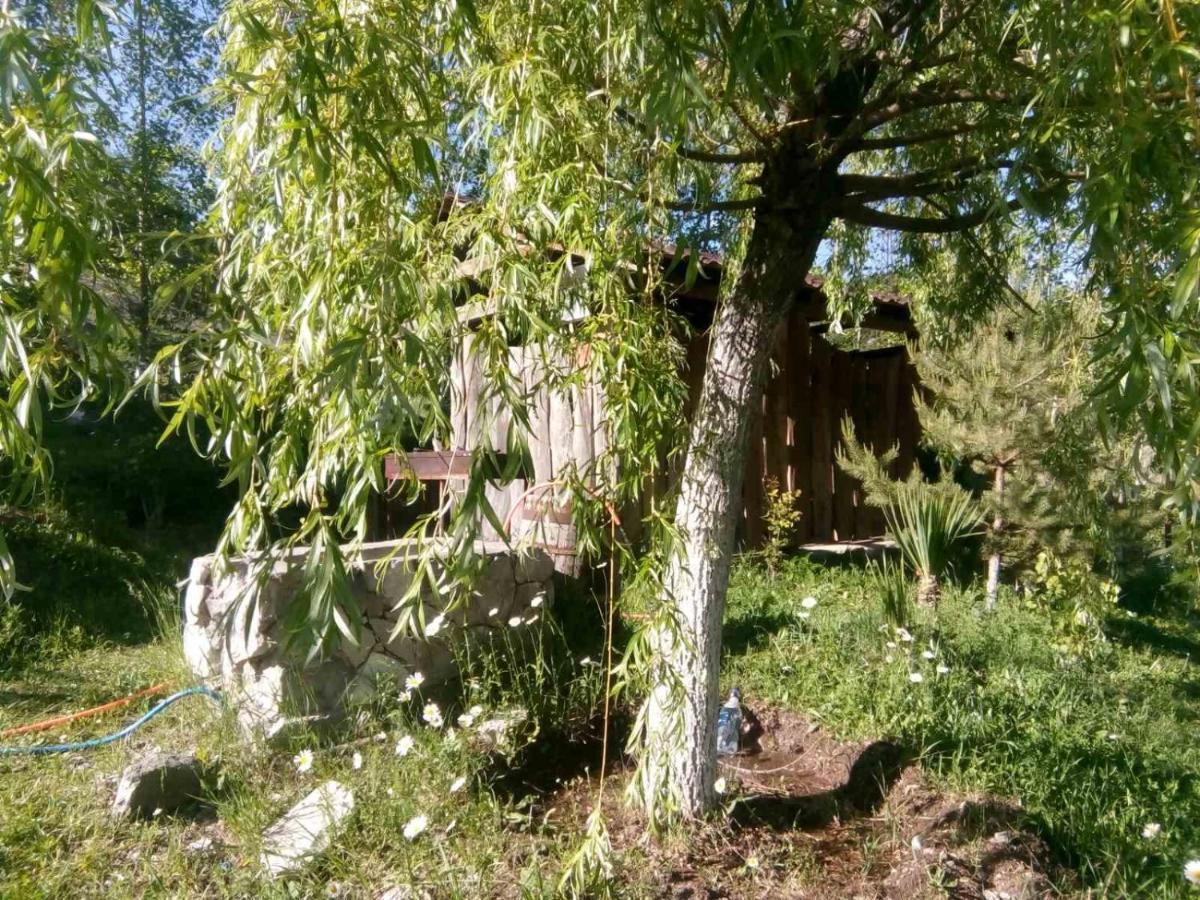 Hotel Nirvana Дилиян Екстериор снимка